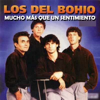 Mucho Más Que un Sentimiento - Los Del Bohio