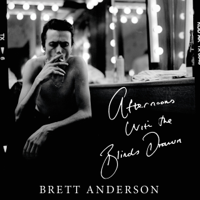 Brett Anderson - Afternoons with the Blinds Drawn artwork