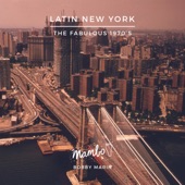 Latin New York: The Fabulous 1970's artwork