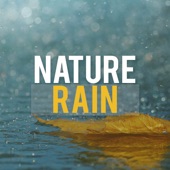 Nature Rain artwork