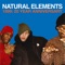 2 Tons - Natural Elements lyrics