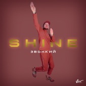 Shine artwork