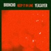 Keep It in Line (Yeasayer Remix) - Single