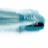 Fields of Light artwork