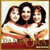 Pandora - Desde El Día Que Te Fuiste (Without You)