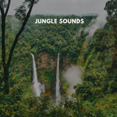 Papua New Guinea Rainforest Sounds - Top Nature Sounds