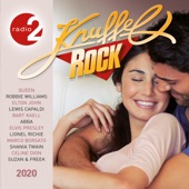 Radio 2: Knuffelrock 2020 artwork