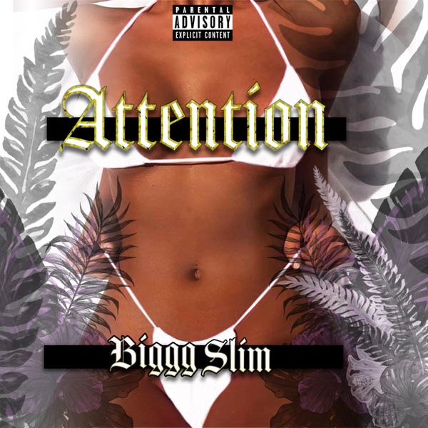 Attention - Single - Biggg Slim