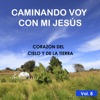 Caminando Voy con mi Jesús