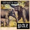 Fall Back to You (feat. Nick Broadhurst) - PAZ lyrics