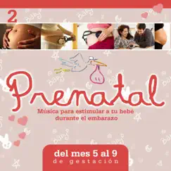 Prenatal, Vol. 2: Música para Estimular a Tu Bebé Durante el Embarazo by Antonio Cortazzi album reviews, ratings, credits