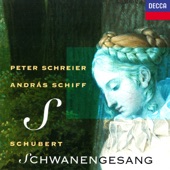 Schubert: Schwanengesang, D. 957 artwork