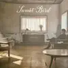 Sunset Bird - Single album lyrics, reviews, download