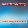 The Fun Phenomenon