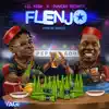 Flenjo (feat. Duncan Mighty) song lyrics