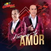 Vivo por Tu Amor artwork