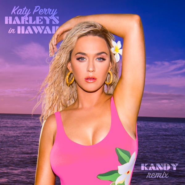 Katy Perry & KANDY - Harleys In Hawaii (KANDY Remix)