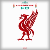 Liverpool Fc artwork