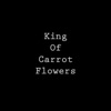 King of Carrot Flowers - Single