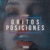 Gritos & Posiciones artwork