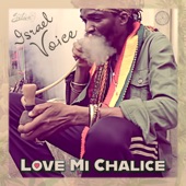 Israel Voice - Love Mi Chalice