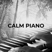 Calm Piano artwork