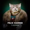 Capone (Extended Mix) - Felix Harrer lyrics