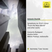 Dvořák: Symphony No. 9 in E Minor "From the New World" & Other Works artwork