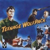 Teenage Wolfpack, 1995