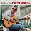 Esencial Pedro Guerra