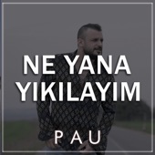 Ne Yana Yıkılayım artwork