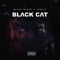 Black Cat (feat. Black Smurf) - JoeCat lyrics