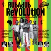 Rubadub Revolution artwork