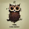 Pure Energy - Single album lyrics, reviews, download