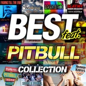 BEST (feat. PITBULL) COLLECTION artwork