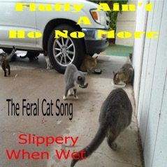 Fluffy Ain't a Ho No More the Feral Cat Song - Single