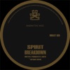 Breakdown / Lost Funk - Single