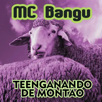 Teenganando de montão - MC Bangu Teenganando de montão - MC Bangu