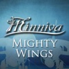 Mighty Wings (feat. Quentin Cornet) - Single