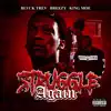 Struggle Again (feat. Breezy & King Moe) - Single album lyrics, reviews, download