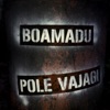 Pole Vajagi - Single