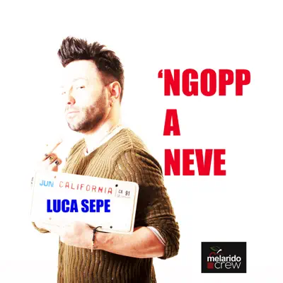 Ngopp a Neve - Single - Luca Sepe