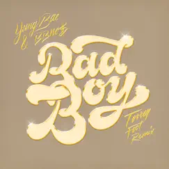 Bad Boy (Torren Foot Remix) [feat. bbno$] - Single by Yung Bae & Torren Foot album reviews, ratings, credits