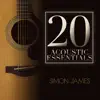 20 Accoustic Essentials album lyrics, reviews, download