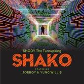 Shako (feat. Joeboy & Yung Willis) artwork