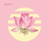 Lotus Rising - Single