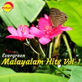 Evergreen Malayalam Hits, Vol. 1 artwork