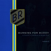 Burning for Buddy, Vol. 2 artwork