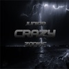 Crazy - Single