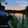 Counting Sheep - Single